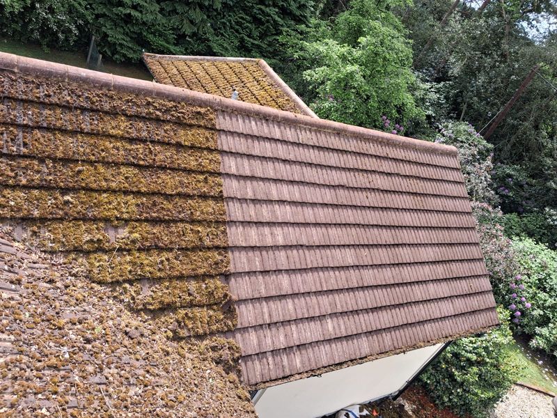 manually removed moss from redland concrete tiles - before and after